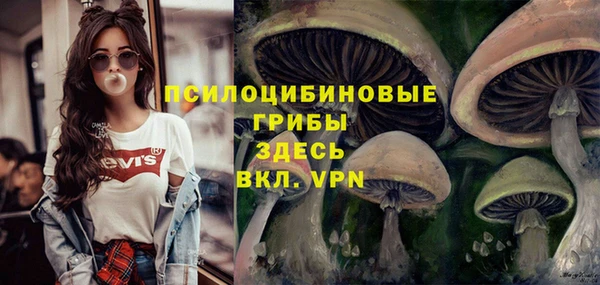 mix Арсеньев
